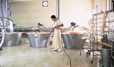 Pulizia industrie alimentari